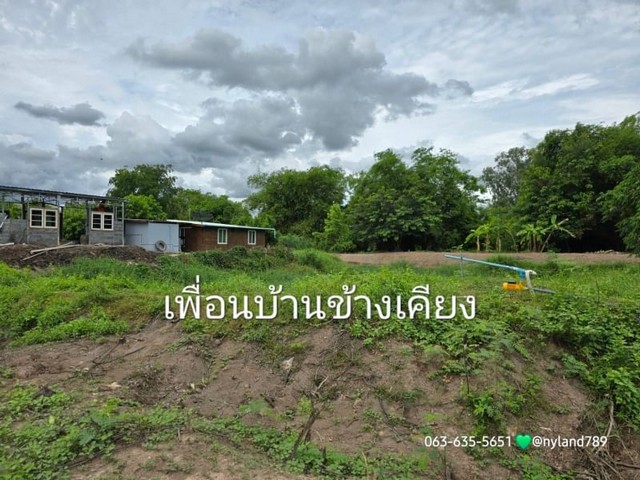 ขายที่ดินริมแม่น้ำนครนายก ต.บางอ้อ อ.บ้านนา จ.นครนายก  .