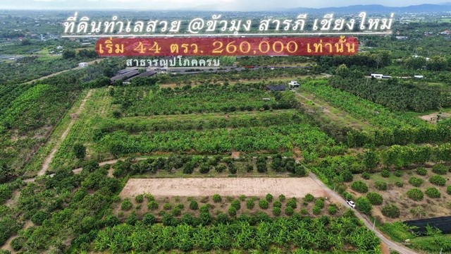 ขายที่ดิน44-59ว.เริ่ม260,000บ.ใกล้วัดขัวมุง ขัวมุง สารภีเชียงใหม่  .