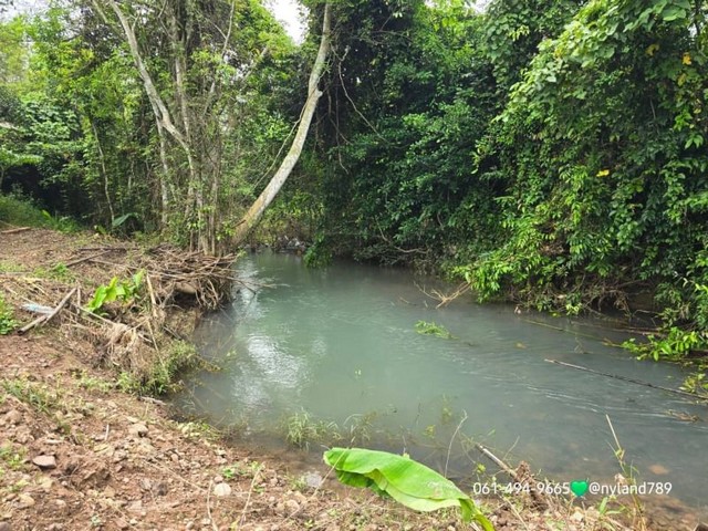 ขายที่ดินติดธารน้ำ ต.นาหินลาด อ.ปากพลี จ.นครนายก  .