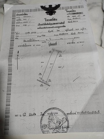 ขายที่ดิน หลังมหาวิทยาลัยแม่ฟ้าหลวง อำเภอเมือง จังหวัดเชียงราย   .