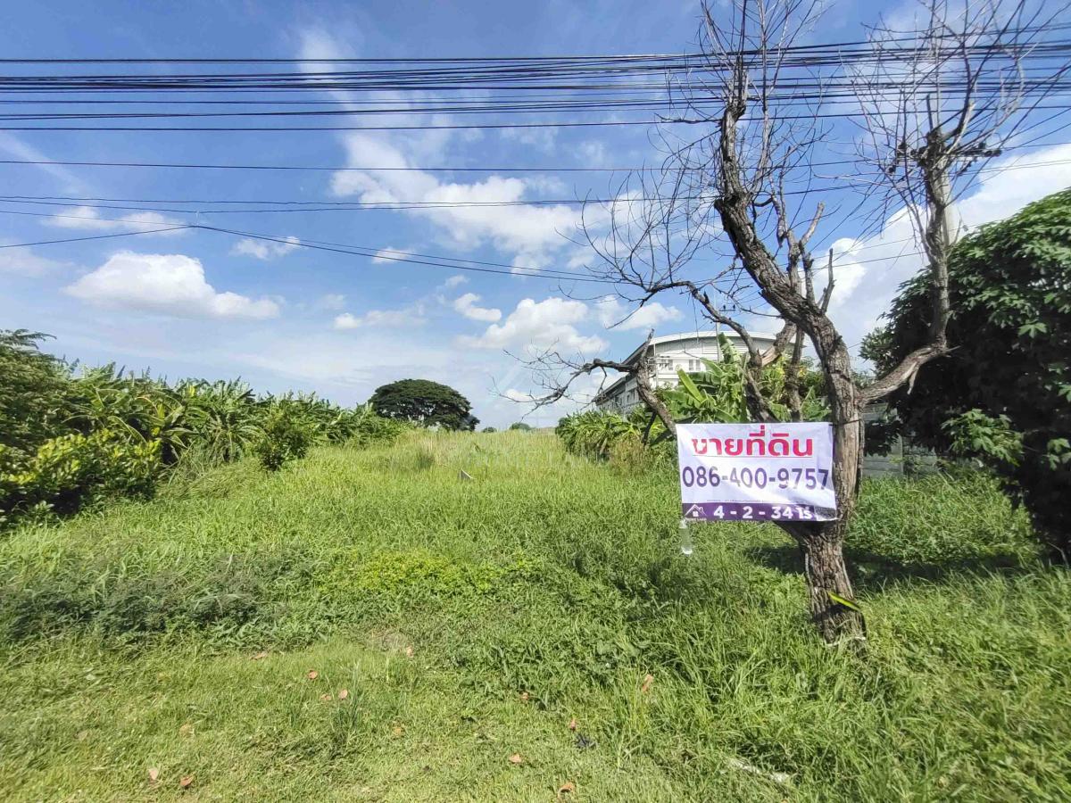 ขายที่ดิน 4 ไร่ กว่า ถนน เกตุอ่ำพัฒนา แยกจาก ซอย วัดลาดปลาดุก  .