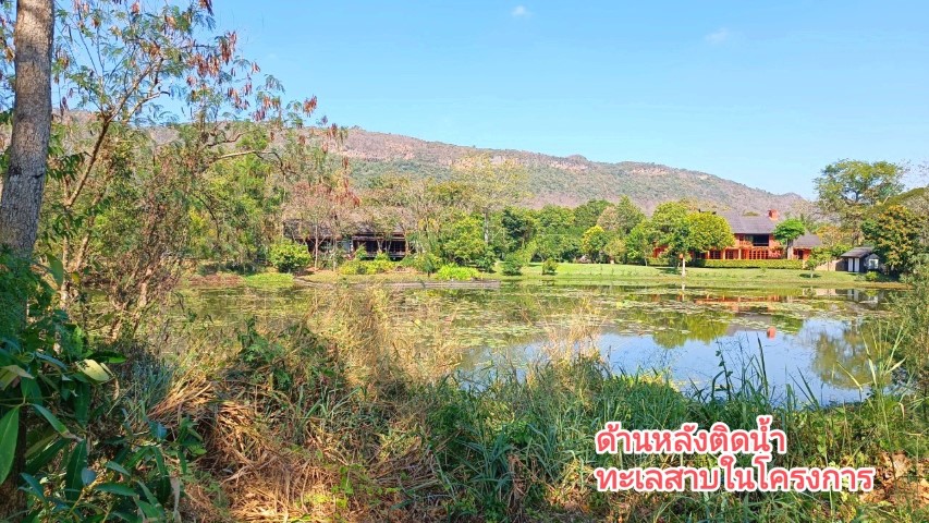 ขายที่ดิน 1 ไร่เศษ ใน Moon Dance Khao Yai ถนนธนะรัชต์ เขาใหญ่   .