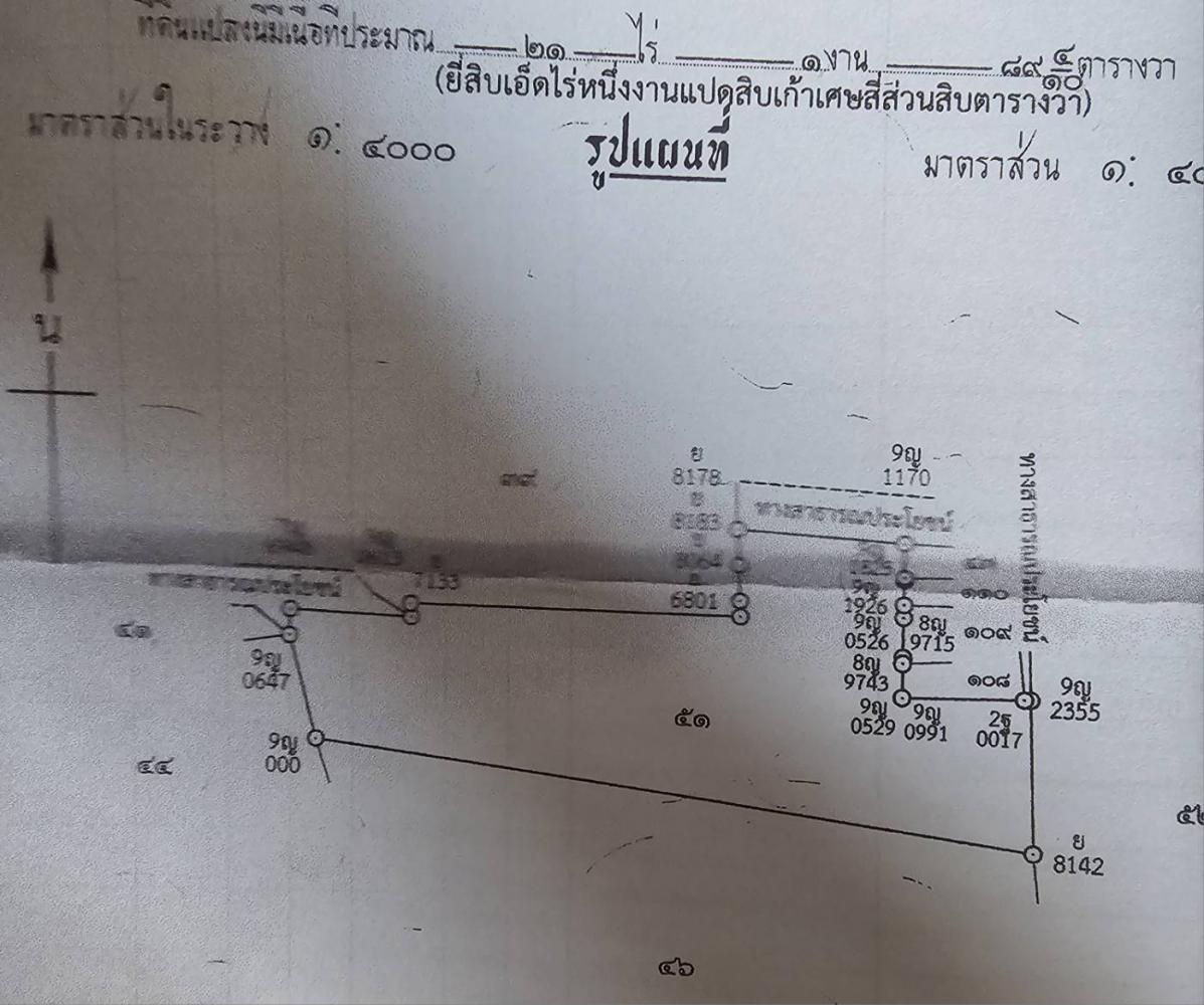 ขายที่ดิน ขนาด 21 ไร่ ทำเลสวย ติดถนน อ.ดงเจริญ จ.พิจิตร  .