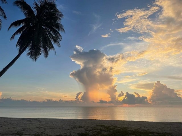 ทรัพย์ขายเช่าเอาใจลูกค้าต่อได้ ขายที่สวย ใกล้หาดสะพลี  .