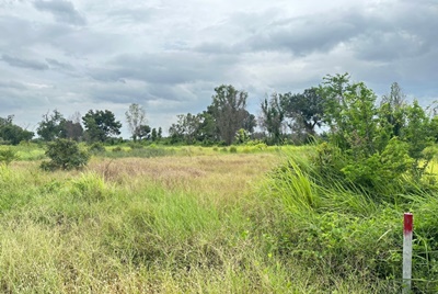  ขาย ที่ดิน 260 ตร.ว ที่ดินแบ่งขาย โครงการที่ดิน สวนมะลิเก่า คลอง  .