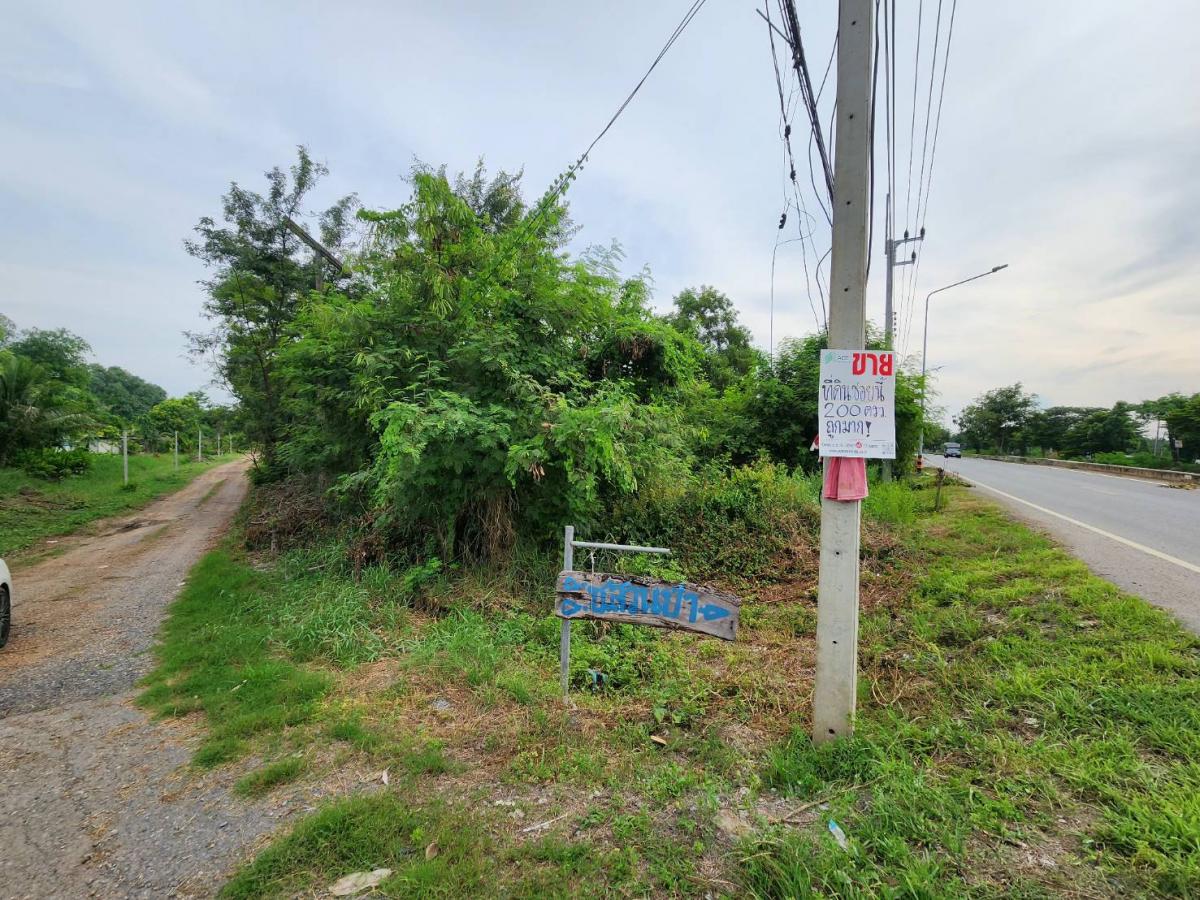 ขาย ที่ดินราคาถูก จ.ปทุมฯ อ.หนองเสือ ต.บึงกาสาม ขนาด 100 ตรว.