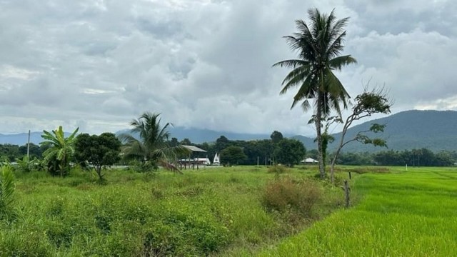 ที่ดินแปลงสวย  วิวเขา แหล่งชุมชน แม่ออน เชียงใหม่    .