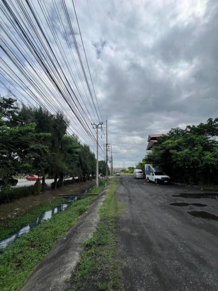 ขาย/เช่า ที่ดินเปล่าทั้งซอยบางนา-ตราดติดถนนใหญ่บางนา-ตราด 1300ตร.  .