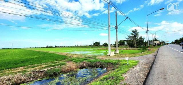 ขายที่ดินถนนคลอง 12 ลำลูกกา-ธัญบุรี ติดถนนลาดยาง  .