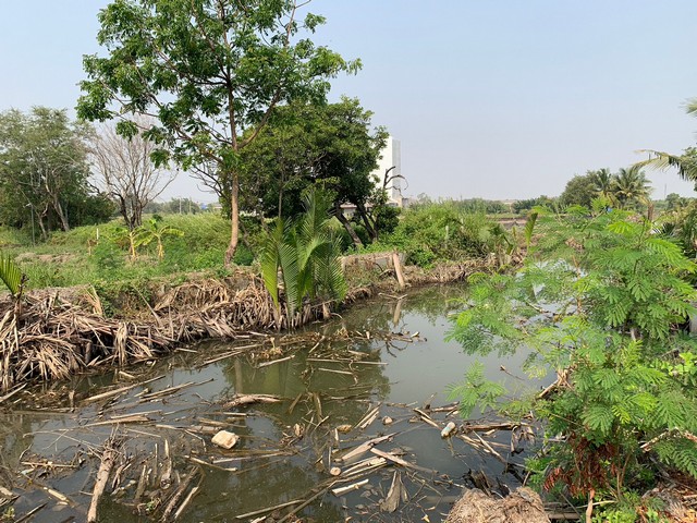 ขายที่ดินทำเลเมือง ติดคลองสองพี่น้อง  ถนนจักรพรรดิ เมืองฉะเชิงเทร  .