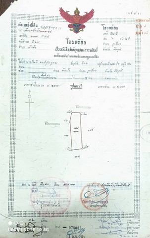  ขายถูกสุดๆ บ้าน 2 ชั้น บนที่ดิน 2 งาน ตำบลผักปัง   .