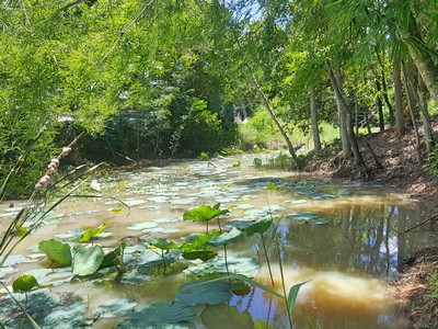 ขาย ที่ดิน - ขายที่ดิน เขาใหญ่ ต.คลองม่วง อ.ปากช่อง 48 ไร่ ที่ดินอยู่ติดน้ำ วิวสวยมากๆ