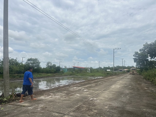 ขายที่ดิน คลอง11 อำเภอหนองเสือ  จังหวัดปทุมธานี   .