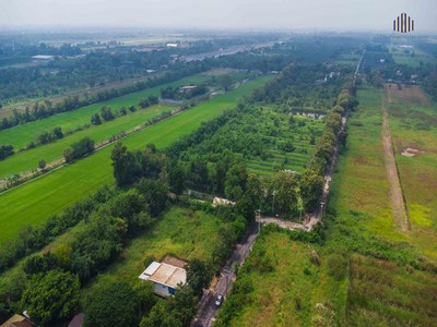 ขายด่วนถูกมาก! ที่ดินโครงการนฤมลวิลล่า อ.หนองเสือ จ.ปทุมธานี 60 ต  .