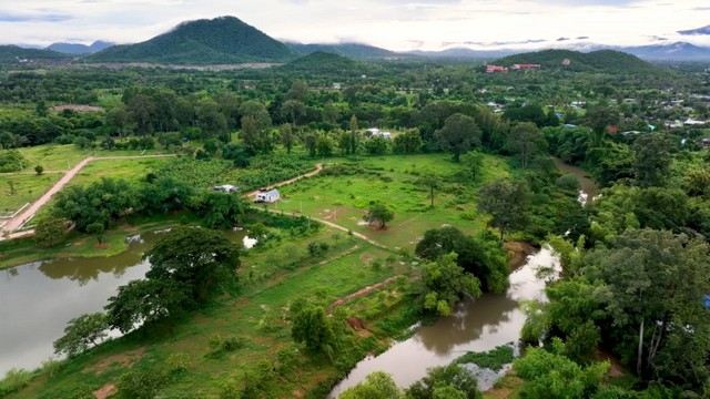 ขายที่ดินติดแม่น้ำเพชรบุรี โฉนดครุฑแดง เขตเทศบาลท่ายาง จังหวัดเพช  .