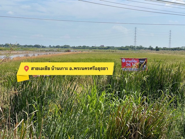 ที่ดินสายเอเซียบ้านเกาะอยุธยา 26-1-46.7 ไร่   .