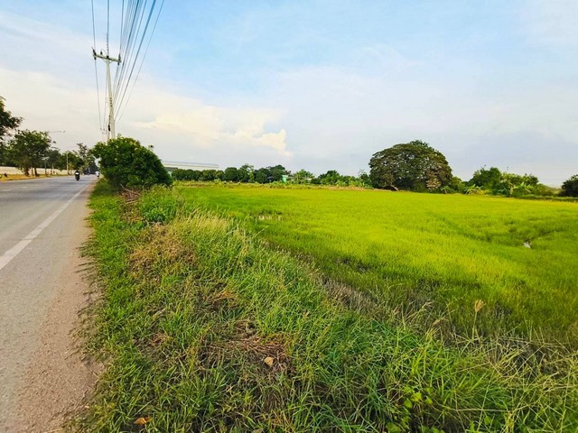 ที่ดินคูบางหลวง ลาดหลุมเเก้ว ปทุมธานี 5ไร่ 2งาน.