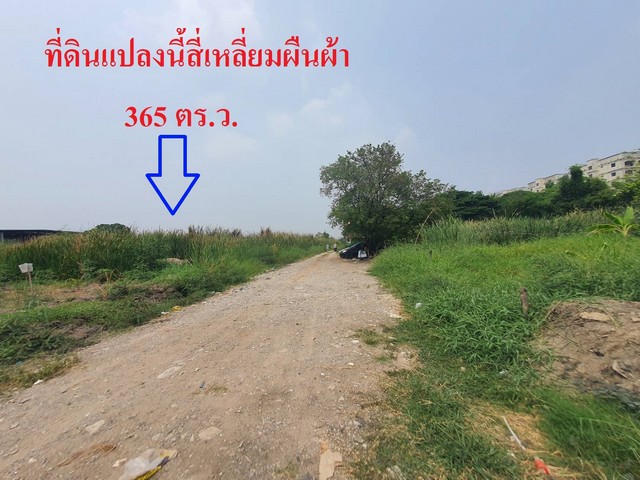 ขายที่ดินสี่เหลี่ยมผืนผ้า เฉลิมพระเกียรติ ร.9 ซอย 28 แยก18   .