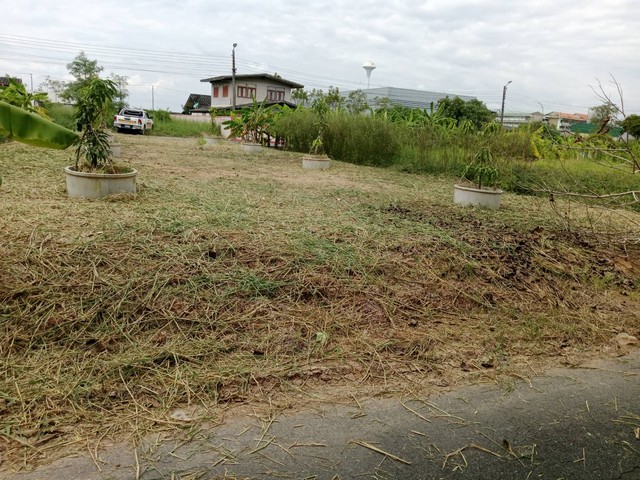 ขายที่ดิน แปลงสวย หนองจอก ติดถนนสาธารณะ 2 ด้าน  .