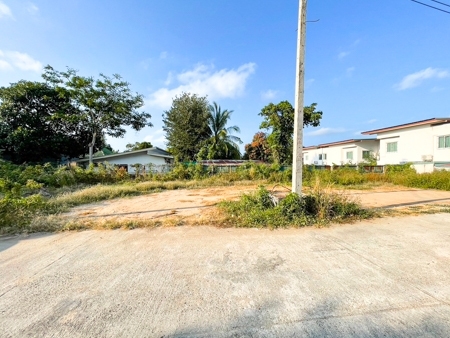 Beautiful plot of land in Koh samui for rent Area 108 square mete  .