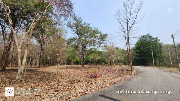 ขายที่ดิน 344 ตร.ว. ใกล้ศูนย์ราชการจังหวัดลำพูน (แห่งใหม่)   .