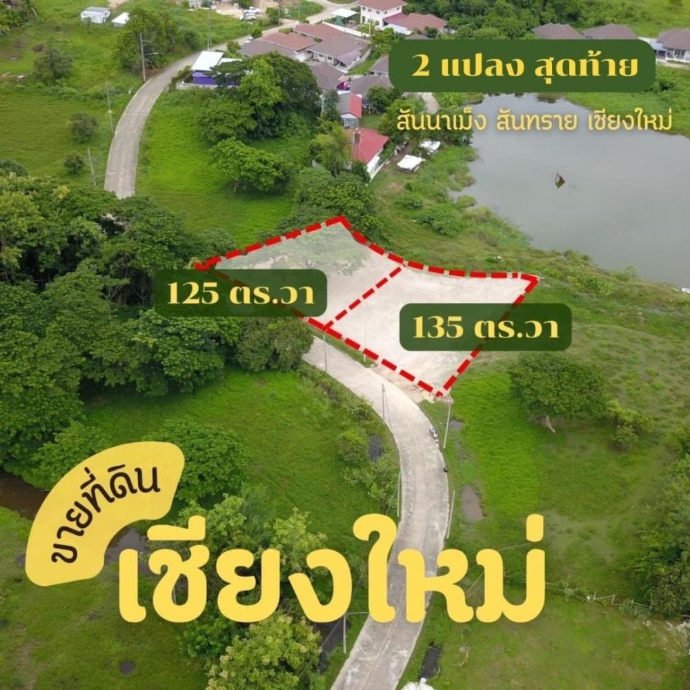 ถูกเวอร์ ที่ดินติดทะเลสาบ 1.69 ล้าน 260 ตรว. สันทราย ธรรมชาติสวย  .