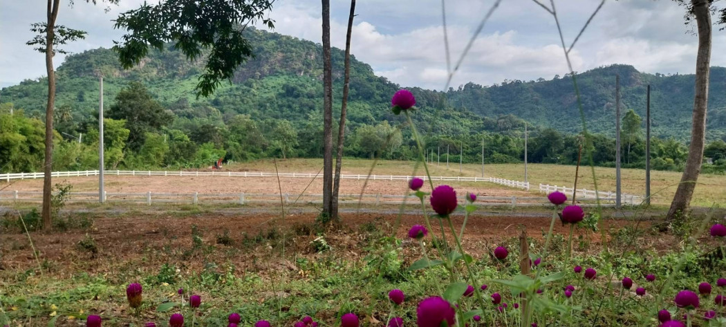 ขายที่ดินเขาพระเนื้อที่เริ่มต้น 2 ไร่ ซอยเขาฝาละมี-คลองยาง วิวเขา180องศาสวยๆติดเขารับธรรมชาติแบบเต็มอิ่ม เมืองนครนายก: PR_aa00000490263: PR_aa00000490263