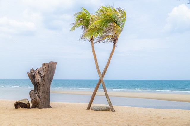 หาทรัพย์มีค่าต้อนรับปีใหม่   หาดฝั่งแดง ไร่ล่ะ3.5 ล้านบาท   .