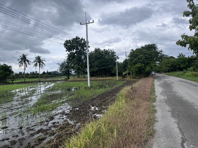 ขายที่ดินราคาถูก ติดถนนดำ ใกล้คลองส่งน้ำ   .