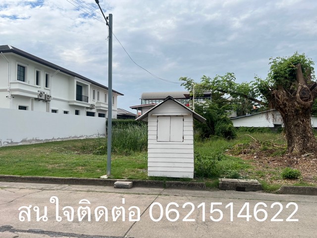 ขายที่ดิน หมู่บ้านเกษตรนิเวศน์ ถนนแจ้งวัฒนะ14 หลักสี่ กทม.  .