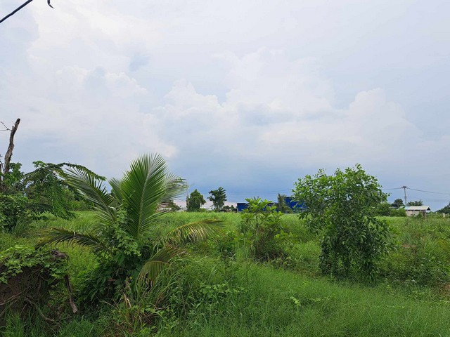 ขายที่ดินคลอง10 หนองเสือ ถนนรังสิต-นครนายก 0849924497  .