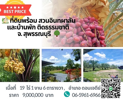 ขายที่ดินแปลงใหญ่ + สวนอินทผาลัม 19 ไร่  แถมฟรี แทรคเตอร์ สภาพดีม  .