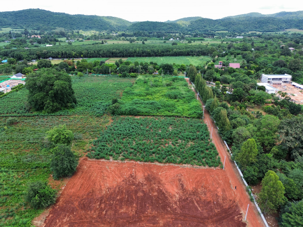 ขาย ที่ดิน เขาใหญ่ ต.​หมูสี อ.ปากช่อง 1 ไร่ 1 งาน ​แค่เห็นวิว ก็มีความสุขแล้ว​.: aa00000595212