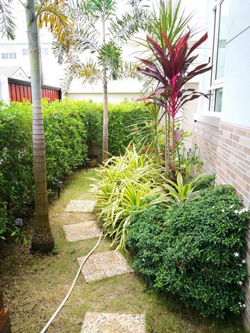 For Rent : Kathu, Single-story detached house, 3 Bedrooms 2 Bathr  .