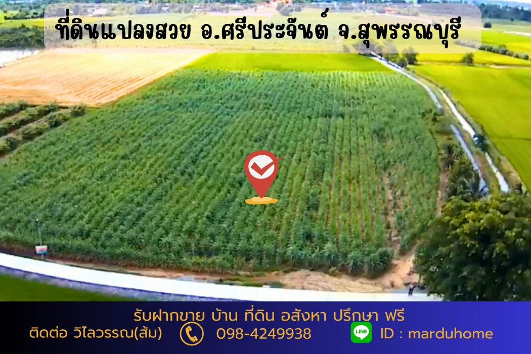 ขาย ที่ดิน ต.ดอนปรู อ.ศรีประจันต์ จ.สุพรรณบุรี NO 9 ไร่ 3 งาน 5 ตรว ทำเกษตรในยามเกษียณ: aa00000523538