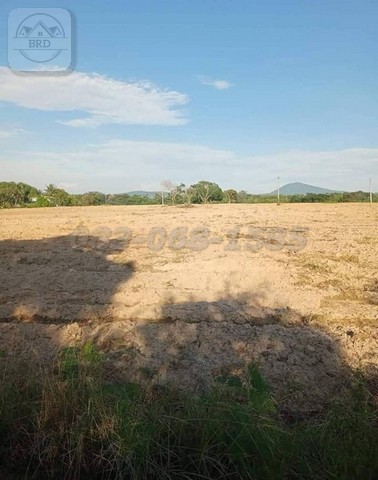 Yellow land for sale, area 1,114 rai, Nong Irun, Ban Bueng, Chonb  .