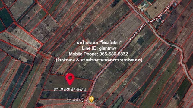 ขายที่ดินเปล่า (ทุ่งนาข้าว) 32-0-48 ไร่ อ.ขาณุวรลักษบุรี จ.กำแพงเ  .