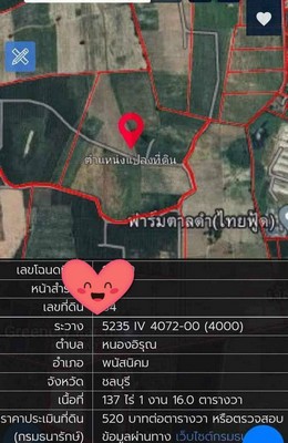 ขายที่ดินสีเหลืองหนองอิรุณ พนัสนิคม ชลบุรี เนื้อที่ 137 ไร่   .