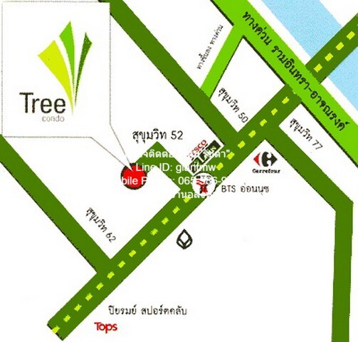 ให้เช่าคอนโด “ทรี คอนโด สุขุมวิท 52 (Tree Condo Sukhumvit 52)” ชั  .