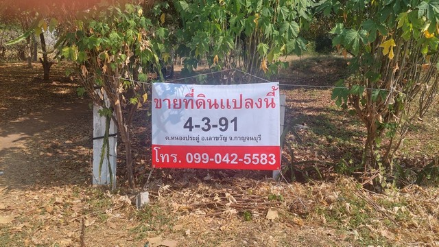 ขายที่ดิน ตำบลหนองประดู่ อำเภอเลาขวัญ จังหวัดกาญจนบุรี   .