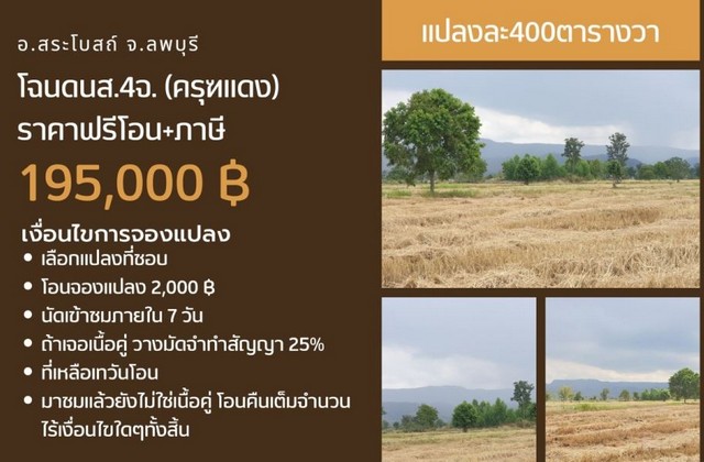 ขายที่ดินเริ่ม 1ไร่ 195,000บ.ฟรีโอน ต.นิยมชัย สระโบสถ์ ลพบุรี  .