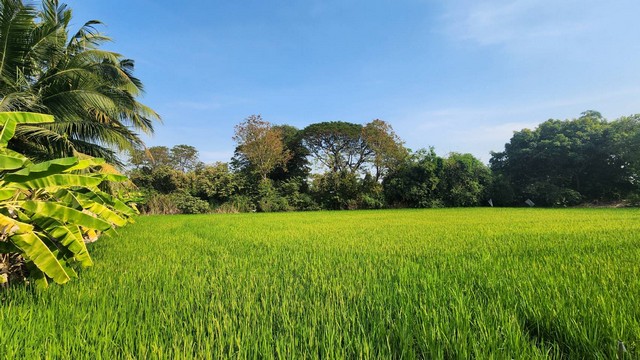 ให้เช่าที่ดิน ที่ดินติดถนนใหญ่ คลองสิบ-คลองสิบสี่  .