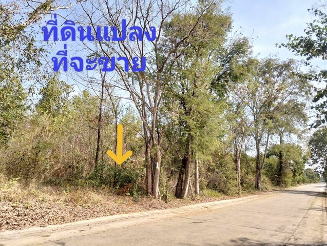 ขายที่ดิน ประโคนชัย บุรีรัมย์ 3-1-20 ไร่ ดินติดชลประทาน  .