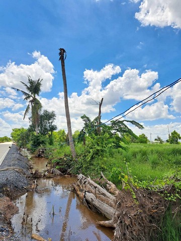 ขายที่ดิน 1 ไร่ รังสิต คลอง10 หนองเสือ  โทร 084 992 4497  .