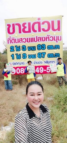 ขายที่ดินผังม่วง 2 แปลง4ไร่ 3 งาน 80 ตร.ว.   .