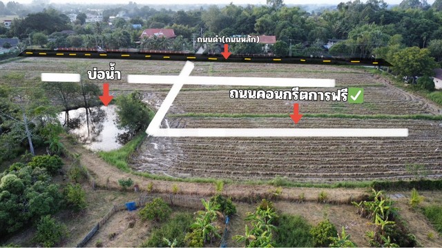 ขายที่ดิน51-120ว.453,000บ.ค้าขายได้ สง่าบ้าน ดอยสะเก็ด เชียงใหม่  .