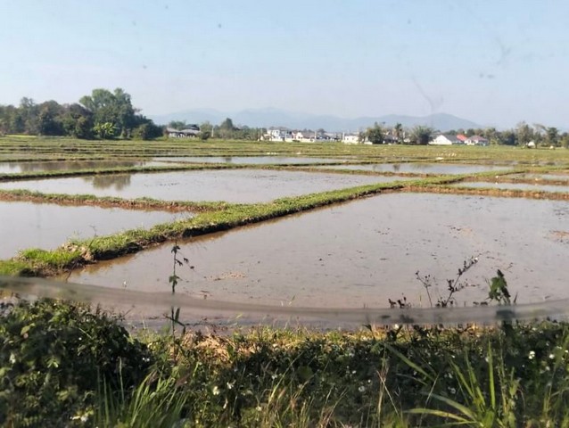 ที่ดินติดถนนหลักเชียงใหม่ ดอยสะเก็ด ใกล้สวนทวีชล     .