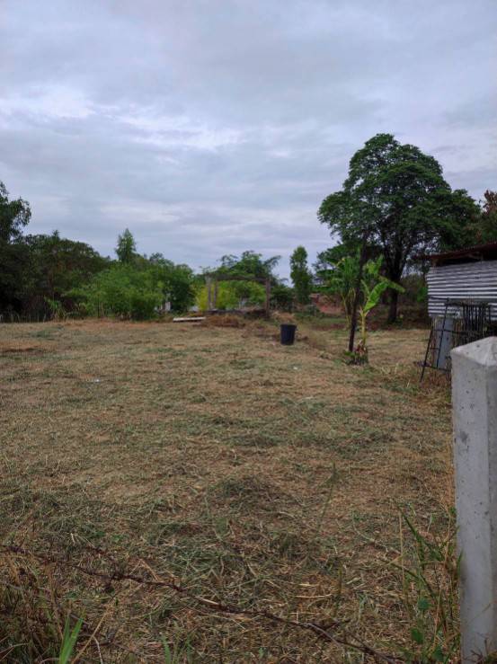 ขายที่ดินพร้อมบ้านสวน ติดลำน้ำชี บ้านดอนบม อำเภอเมืองขอนแก่น โฉนดพร้อมโอน 