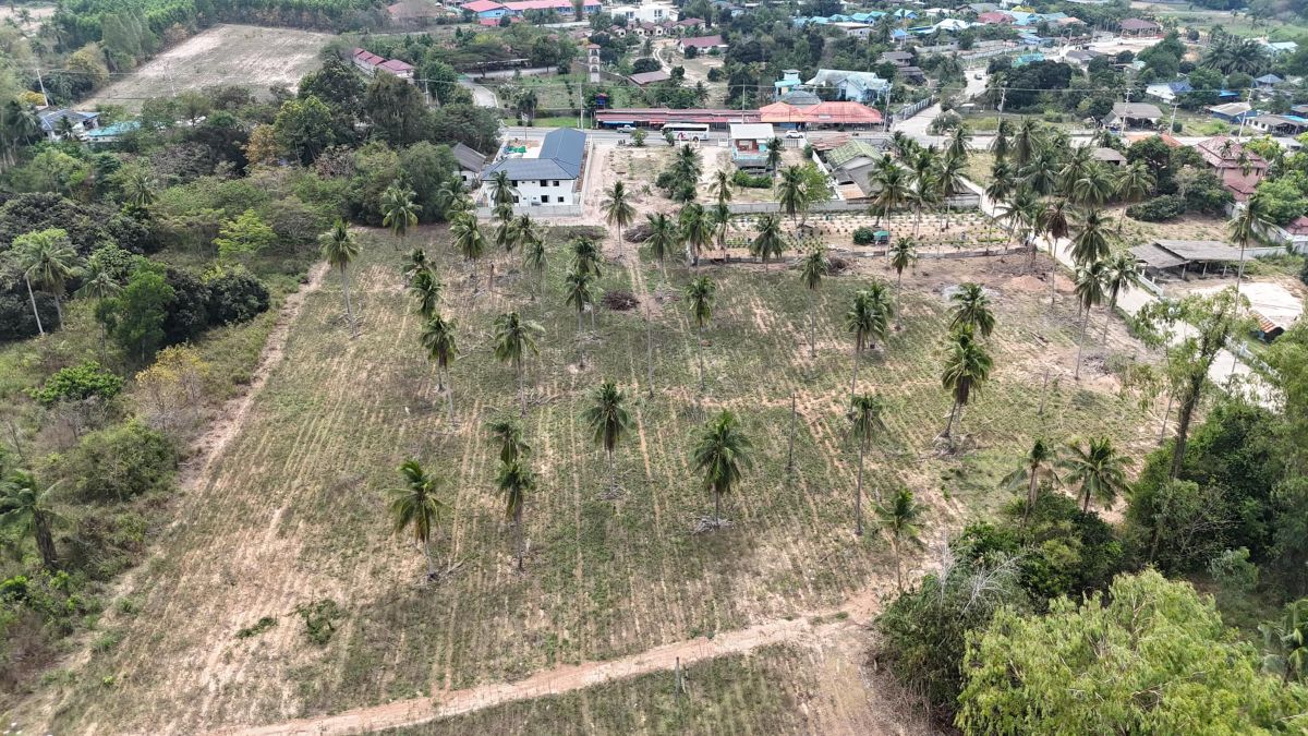 ขายที่ดินเส้นเขาชีจรรย์ พัทยา-ชลบุรี ทำเลดีบรรยากาศสุดฟิน ใกล้แหล่งท่องเที่ยว