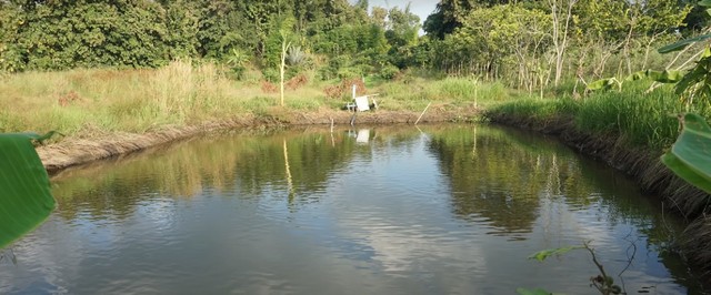 ขายที่บ่อปลา  ติดคลอง  8  ไร่ ต.หนองตีนนก อ.บ้านโพธิ์ จ.ฉะเชิงเทร  .